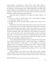 Teisminės valdžios ypatumai Lietuvos Respublikoje 15 puslapis