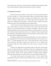 Teisminės valdžios ypatumai Lietuvos Respublikoje 16 puslapis