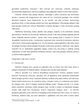 Vaikas kaip teisės subjektas 6 puslapis