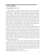 Valdžių padalijimo principas 3 puslapis