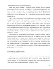 Valdžių padalijimo principas 8 puslapis