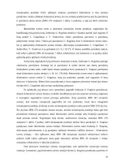 Įrodymai, kuriais pagrindžiamas nuosprendis 10 puslapis