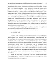 Prekinio kredito draudimas, jo ypatumai ir rizikos analizė bei vertinimas 13 puslapis