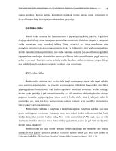 Prekinio kredito draudimas, jo ypatumai ir rizikos analizė bei vertinimas 14 puslapis