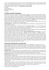 Marketingo egzaminas - pasiruošimas 2 puslapis