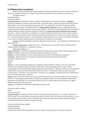 Marketingo egzaminas - pasiruošimas 17 puslapis