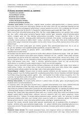 Marketingo egzaminas - pasiruošimas 3 puslapis