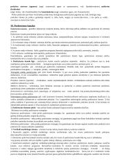 Marketingo egzaminas - pasiruošimas 8 puslapis