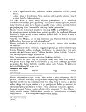 Platonas bei jo idėjų teorija 3 puslapis