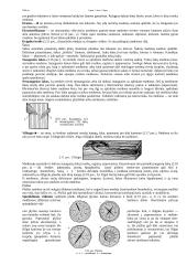 Mediena ir jos gaminiai 7 puslapis