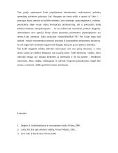 Džono Locko individualistinės teisės koncepcijos bruožai 2 puslapis