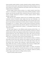 Europos Sąjungos bendroji prekybos politika: esmė ir poveikis Lietuvos užsienio prekybos politikai 2 puslapis