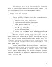 Inovacinių procesų socialiniai aspektai 17 puslapis