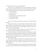 Inovacinių procesų socialiniai aspektai 4 puslapis