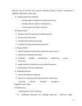 Inovacinių procesų socialiniai aspektai 9 puslapis