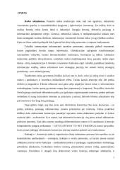 Lietuva globalios e-komercijos kontekste 2 puslapis