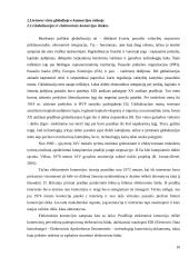 Lietuva globalios e-komercijos kontekste 11 puslapis