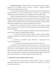 Lietuva globalios e-komercijos kontekste 13 puslapis