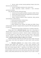 Lietuva globalios e-komercijos kontekste 14 puslapis