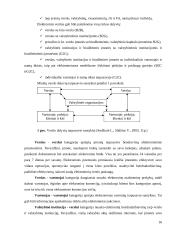 Lietuva globalios e-komercijos kontekste 17 puslapis
