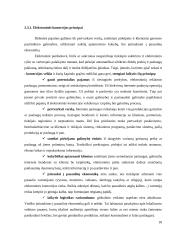 Lietuva globalios e-komercijos kontekste 19 puslapis