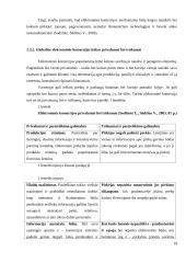 Lietuva globalios e-komercijos kontekste 20 puslapis