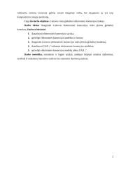 Lietuva globalios e-komercijos kontekste 3 puslapis