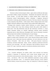 Lietuva globalios e-komercijos kontekste 4 puslapis