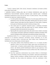 Nusikalstamas susivienijimas kaip bendrininkavimo forma 19 puslapis