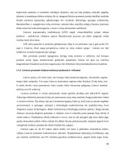 Tarptautinės prekybos specialistų kvalifika­cijos ugdymo problema. 20 puslapis