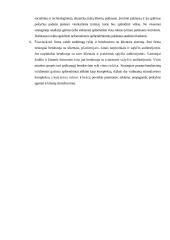 Tarptautinio marketingo etapai ir planavimas 11 puslapis