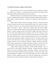 Tarptautinio marketingo etapai ir planavimas 3 puslapis