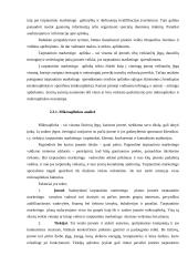 Tarptautinio marketingo etapai ir planavimas 7 puslapis