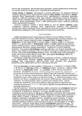 Viešbučių paslaugų rinka globalizacijos kontekste 2 puslapis