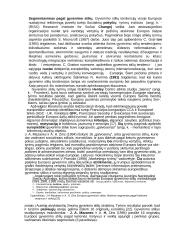 Viešbučių paslaugų rinka globalizacijos kontekste 12 puslapis