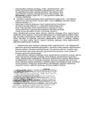 Viešbučių paslaugų rinka globalizacijos kontekste 14 puslapis