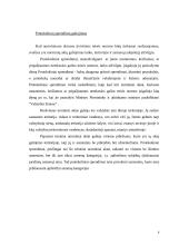 Protokolinių sprendimų teoriniai aspektai 8 puslapis