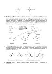 Sterochemija 16 puslapis