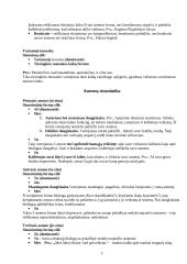 Stiliaus priemonės 5 puslapis