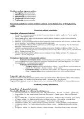 Stiliaus priemonės 7 puslapis