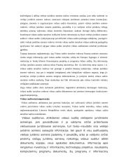 Vidaus kontrolė ir vidaus auditas 5 puslapis