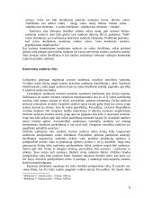 Komerciniai sandoriai, bei jų sudarymo pagrindai 5 puslapis
