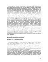Komerciniai sandoriai, bei jų sudarymo pagrindai 9 puslapis