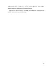 Sutarčių privalomosios bei neprivalomosios sąlygos 11 puslapis