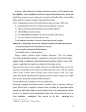 Sutarčių privalomosios bei neprivalomosios sąlygos 3 puslapis