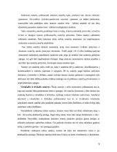 Sutarčių privalomosios bei neprivalomosios sąlygos 5 puslapis