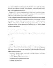 Sutarčių privalomosios bei neprivalomosios sąlygos 7 puslapis