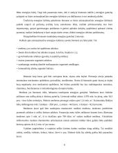 Energijos transformavimo mašinų sprendimai 7 puslapis