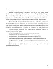 Direktyvų tiesioginio veikimo sąlygos referatas 2 puslapis