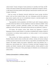 Direktyvų tiesioginio veikimo sąlygos referatas 4 puslapis